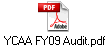 YCAA FY09 Audit.pdf